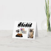 Humorischer Gedanke über Katzen Karte (Vorderseite)