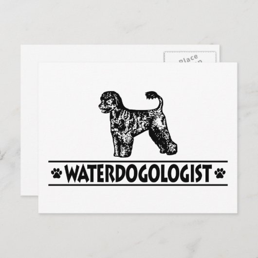 Humorischer Portugiesischer Wasserhund Postkarte (Vorne/Hinten)