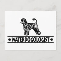 Humorischer Portugiesischer Wasserhund
