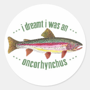 Humoristisches Regenbogenforelendesign Runder Aufkleber