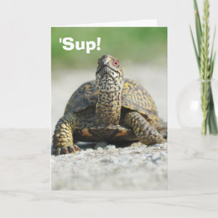 Humorose Box Turtle Grußkarte Karte
