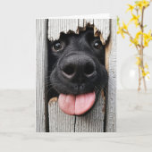 Humorose Geburtsnase Karte (Gelbe Blume)