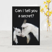 HUMOROUS "BELATED" BIRTHDAY NO BUTTS ABOUT IT! CAR KARTE (Gelbe Blume)