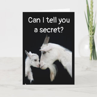 HUMOROUS "BELATED" BIRTHDAY NO BUTTS ABOUT IT! CAR KARTE