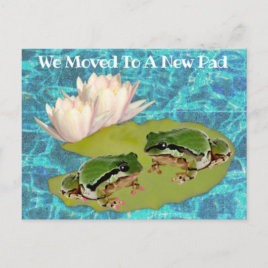 Humorous Frogs Lilies Pad We Moved Announcement Postkarte (Vorderseite)