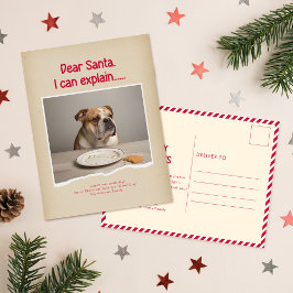 Humorous Funny Dog Pet Family Christmas Postcard Postkarte