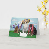 Humorous greeting card, Foto von 3 dogs, any theme Karte (Gelbe Blume)