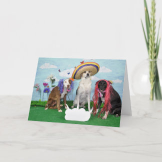 Humorous greeting card, Foto von 3 dogs, any theme Karte