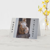 Humorous Horse Happy Birthday Card Karte (Gelbe Blume)