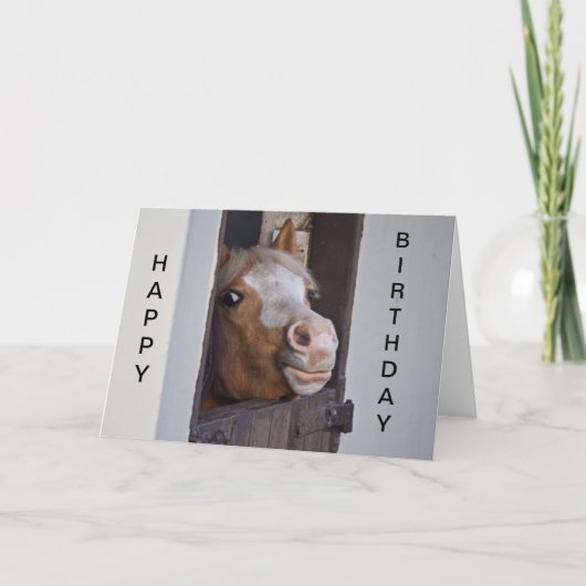 Humorous Horse Happy Birthday Card Karte (Vorderseite)