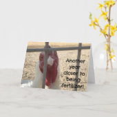 Humorous Old Adult Birthday Karte (Gelbe Blume)