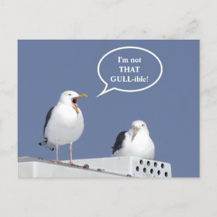 Humorous Yelling Seagull Funny Post Card Postkarte