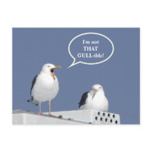 Humorous Yelling Seagull Funny Post Card