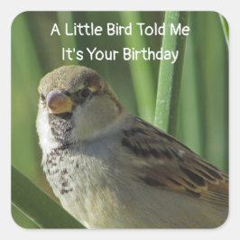 Humorroter Birthday Wish Sparrow Umschlag Aufklebe Quadratischer Aufkleber