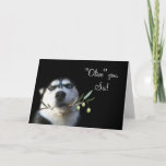 Humors Sister Happy Birthday Card Karte<br><div class="desc">Eine lustige Art,  dich an ihrem Geburtstag mit deiner Schwester "Oliven" zu sagen.  Ein niedlicher Husky mit einem Olivenzweig und dem Pun von Oliven gegen I Liebe.  Sicher,  bringen Sie Ihrer Schwester ein Lächeln zum Geburtstag.</div>