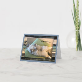 humorvoll, lustig und albern karte