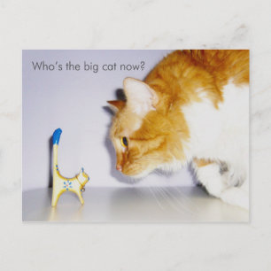 Humorvoll "Wer ist jetzt die Große Katze?" Postkar Postkarte