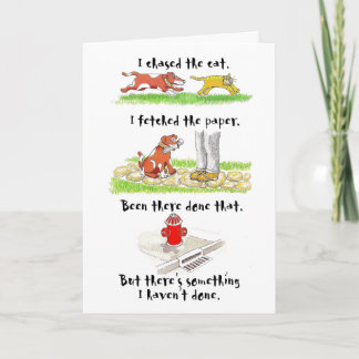 Humorvolle Geburtstagskarte mit Hundecharakter Karte