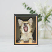 Humorvolle Hundepostkarte Postkarte (Stehend Vorderseite)