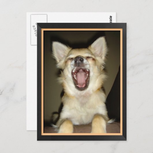 Humorvolle Hundepostkarte Postkarte (Vorne/Hinten)