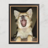 Humorvolle Hundepostkarte Postkarte (Vorderseite)