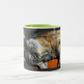 Humorvolle Katzen-Kaffee-Tasse Zweifarbige Tasse (Mittel)