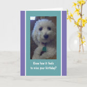 Humorvolle, lustige Geburtstagskarte Karte (Gelbe Blume)