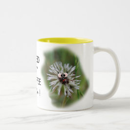 Humorvolle nasse Löwenzahn-Kaffee-Tasse - Zweifarbige Tasse