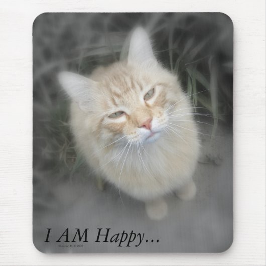 Humorvolle orange Katze Mousepad (Vorne)