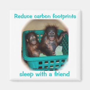 Humorvoller Erhaltungs-Rat Magnet