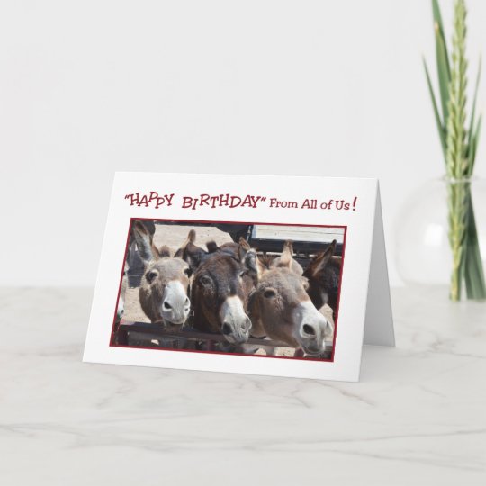 Humorvoller EselGruppenGeburtstag, von allen uns Karte Zazzle.de