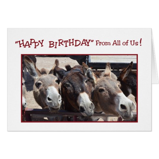 Humorvoller EselGruppenGeburtstag, von allen uns Karte Zazzle
