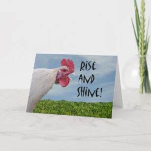 Humorvoller Hühneraufstieg und Shine Happy Birthda Karte