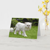 Humorvoller weißer Perser rasierte Karte (Gelbe Blume)