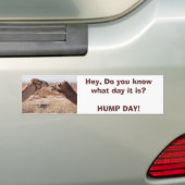 Hump Day Autoaufkleber (Auf Auto)