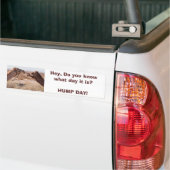 Hump Day Autoaufkleber (Auf Lkw)