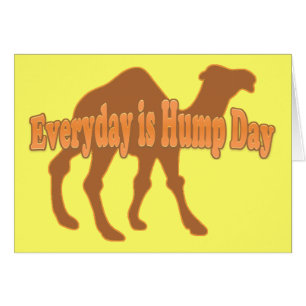 Hump Day Camel