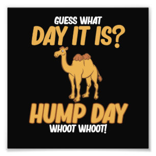 Hump Day Camel Animal Lover Camels Pet Owner Graph Fotodruck