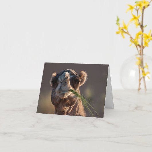 Hump Day Camel Feasting auf grünem Gras Karte (Gelbe Blume)