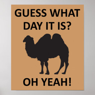 Hump Day Camel Funny Mittwoch Poster-Zeichen Poster