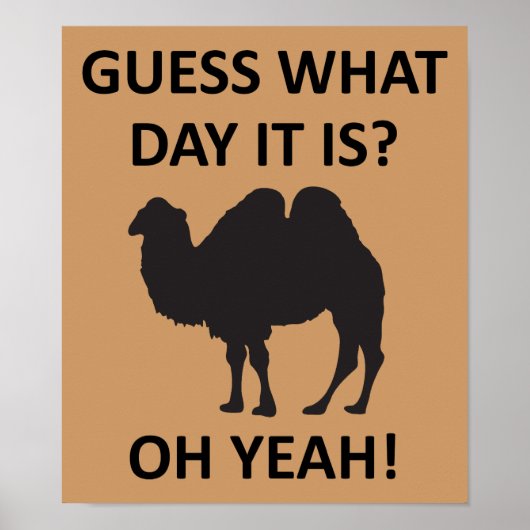 Hump Day Camel Funny Mittwoch Poster-Zeichen Poster (Vorne)