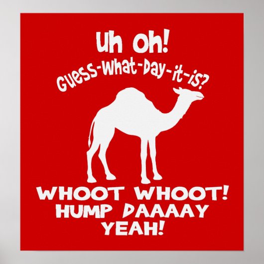 Hump Day Camel Poster (Vorne)