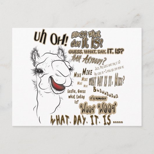 Hump Day Camel Postkarte (Vorderseite)