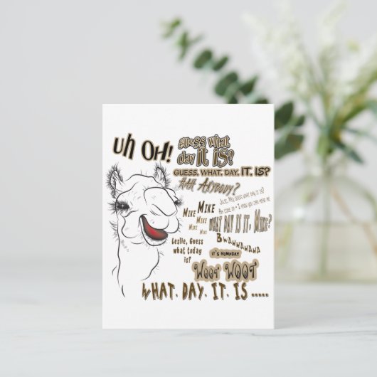 Hump Day Camel Postkarte (Stehend Vorderseite)