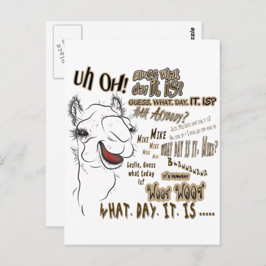 Hump Day Camel Postkarte (Vorne/Hinten)
