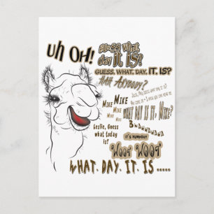 Hump Day Camel Postkarte