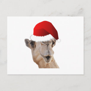 Hump Day Camel Santa Claus Hat Feiertagspostkarte