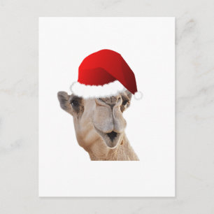 Hump Day Camel Santa Claus Hat Feiertagspostkarte