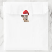 Hump Day Camel Santa Claus Hat Runder Aufkleber (Tasche)