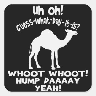 Hump Day Camel Stickers